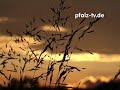 Natur Impressionen