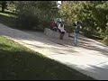 macarena