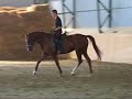Gr�ta a belovag�s kezdet�n