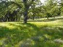 NORTHERN CALIFORNIA ACREAGE HORSE PROPERTIES PROPERTY RANCH NORTHERN CALIFORNIA ACREAGE HORSE PROPERTIES PROPERTY RANCH