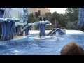 \"Blue Horizon\" #3 Crazy HIGH Dolphin Jumps and Flips!!!