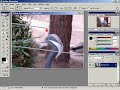 Photoshop Clone Stamp Tool