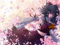videos de PCB Ending Theme - Dream of a Spring Breeze