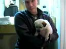 The new Mielke