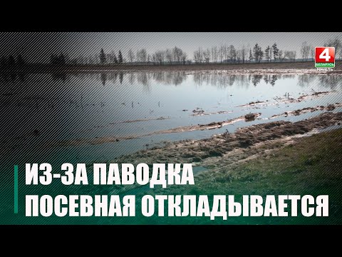 Помимо сложностей у населения, паводок создал значительные проблемы для сельхозпредприятий видео