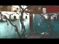 CICR: Desaparecidos