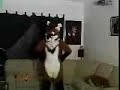 Subservient LatinVixen