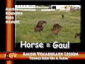 Amish Vocabulary \"Things Seen on a Farm\"