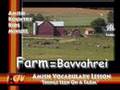 Amish Vocabulary Things Seen on a Farm