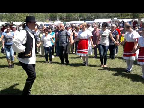 Bog�csi T�nd�rr�zsa n�pt�nccsoport - T�nch�z Bog�cs 2012.05.19_Legjobb vide�k: Receptek, kaja
