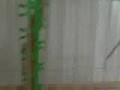 Parakeet cage