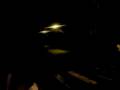 videos de la sub du 972/ rallye centre sud /r-point petit bourg