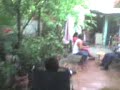terro con el noe IV