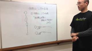 体幹トレーニングのお話②~体幹トレーニングの効果って?~
