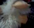Pato Flogger