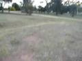 videos de camping at Grabine Lakeside Park