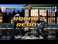 猫動画
