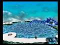 Banjo-Tooie Speed Run (100% Completion) Part 9 - Part 3