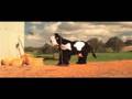 Primo Supa Shake - 'THICK MILK'