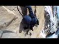 First Ascent trailer