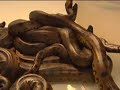 new england aquarium's pregnant anaconda gave birth to 14 baby snakes in the early hours of january 1, 2008