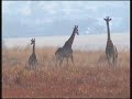 Brakfontein: Hunting