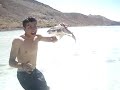 el shuko y el tiburon