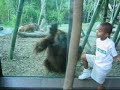 Window Washing