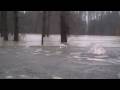 videos de 1:30 at the Snoqulamie volunteer sand bag site