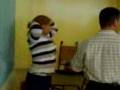 videos de peleas de chiks del  (Andres eloy Blanco)