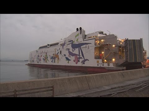 動画