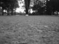 videos de Dedication