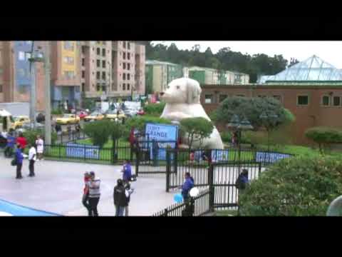 Ver Video