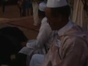 festival ecologie 2008.mp4 maroc