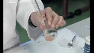 4. Procedimiento Experimental
