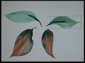Adobe Illustrator CS5 Draw In Tool
