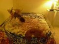 Assistir ao v�deo