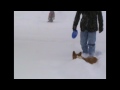 Five Inch Legs Vs Eleven Inch Snow