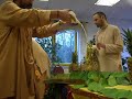 Murti fürdetés