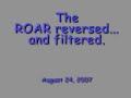11808com-roar-hidden-message.html