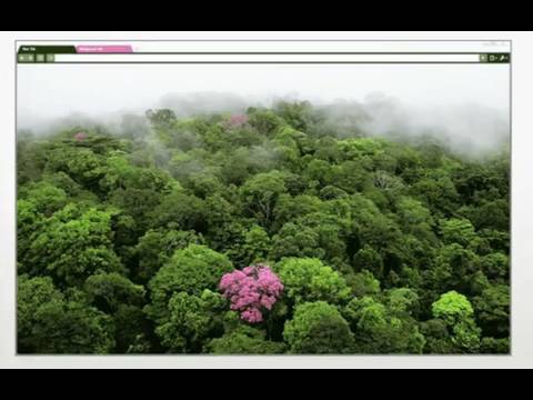 Imagen de previsualización de YouTube