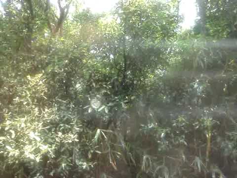 JR豊肥線　赤水～立野（復路）