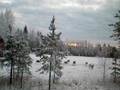 videos de svezia renne