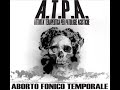 A.T.P.A. 1.wmv
