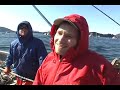 Sitka Herring Alaska Pillar Bay