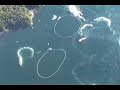 Sitka Herring Alaska Pillar Bay