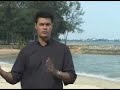 Roger Hamilton - Why Follow Your Wealth?