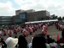 ??YOSAKOI??????