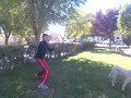 futbol de Hachi futbol de Hachi