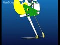 Grasshopper robot sets hopping record